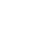 IO Module